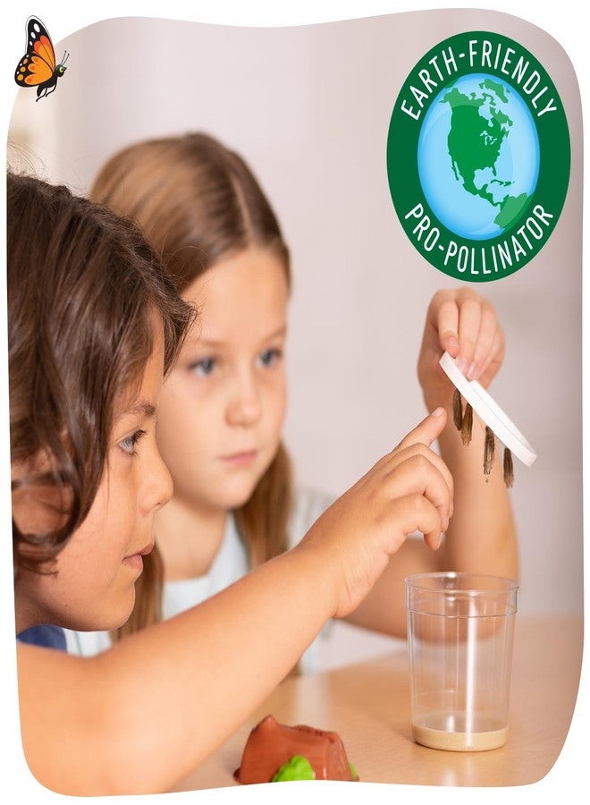 إنسيكت لور مجموعة زراعة جناح حديقة الفراشات من إنسكت لور إيزي 25 - 25 يرقة صغيرة، موطن جناح، شرانق، طعام ومستلزمات - تربية وإطلاق فراشات السيدة الملونة - Image 5